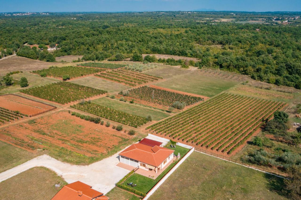 Villa Gracia Sveti Lovreč Pazenatički Eksteriør bilde